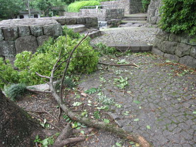 台風４号による城北公園被害状況