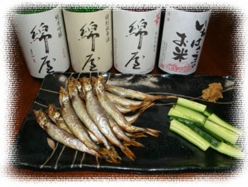 宮城 『綿屋』 を飲もう♪