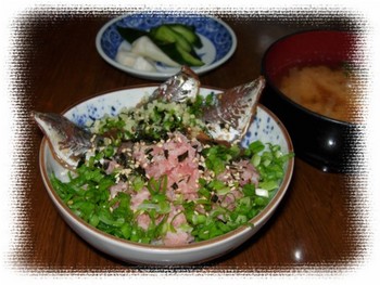 豆鯵万歳!