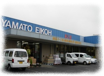 栄光 大和店