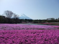 たまには車で