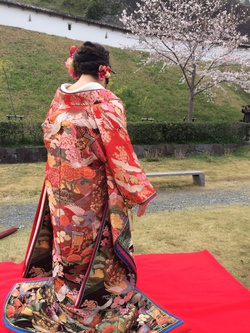 桜満開の中で 桜満開の中で