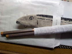 秋刀魚 登場!