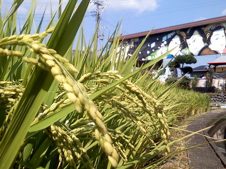 ・・・日和