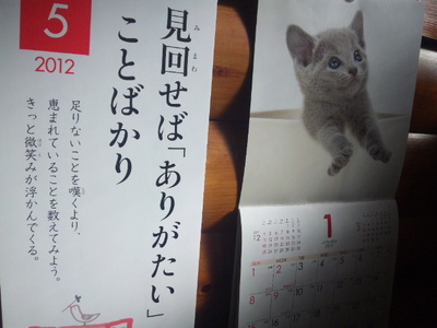 明日から♪