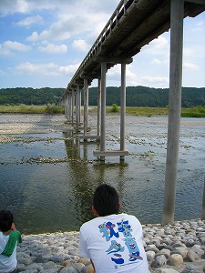 ながいよ~
