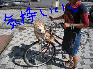 そんなにイヤなの?
