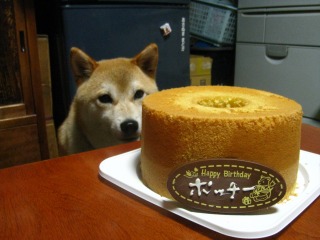 誕生日の夜なのに・・・