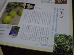 檸檬屋
