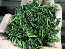 製茶工程・前半