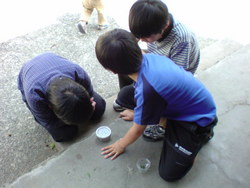 子供は釘付け
