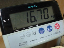 16.7!?