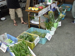 販売会