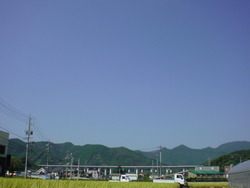 稲刈り日和