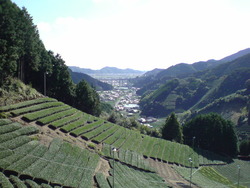 ぽっかぽか