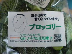 出荷100309