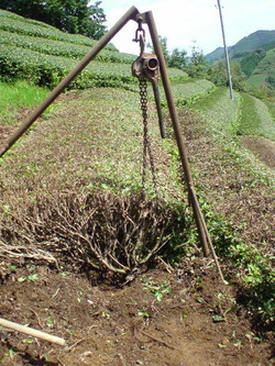 改植作業