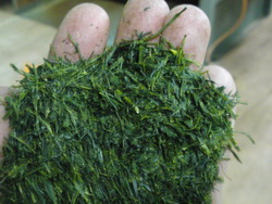 山の息吹