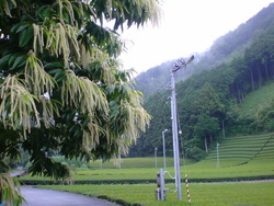 満開