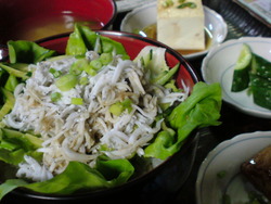 シラス丼