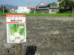 これはなぁに?