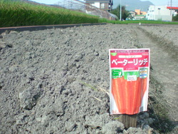 これはなぁに?
