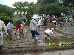 親子で米作り体験!614