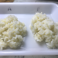 分づき米の食べ比べ