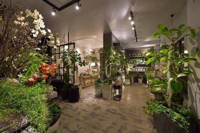 生花店のリノベーションを見ようよ 生花店のリノベーションを見ようよ