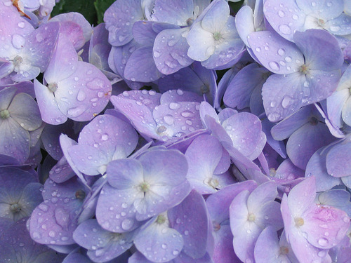 雨の日 10%OFFセール
