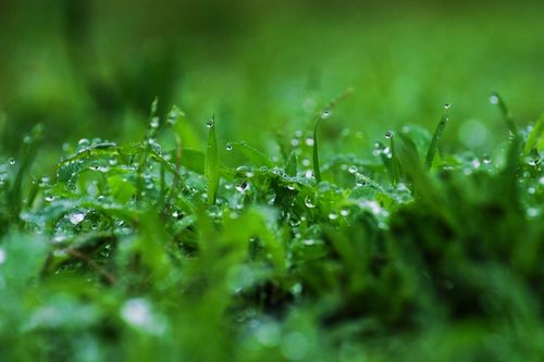 雨の日 10%OFFセール