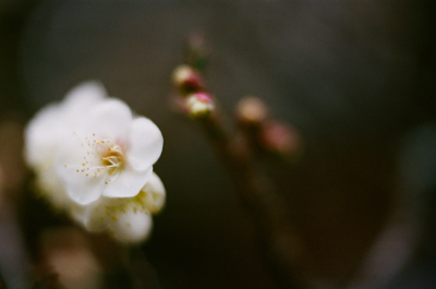 次回のLIFE with CAMERA