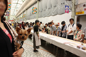 マグロ祭り