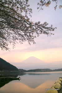 今朝の富士山‥