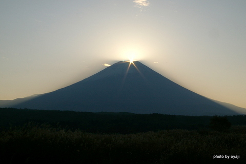 ススキと富士山