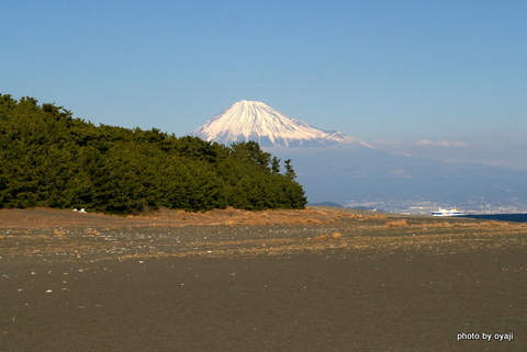 今日の富士山・・