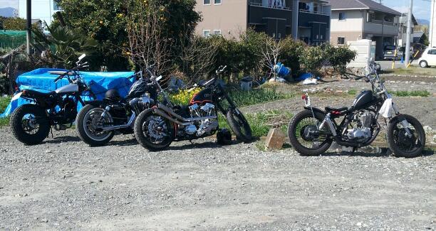 4月 スタートしました!! 4月 スタートしました!!