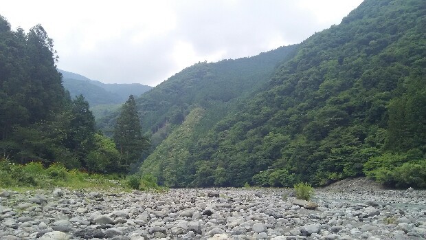 夏休み、、、、頂きました。 夏休み、、、、頂きました。