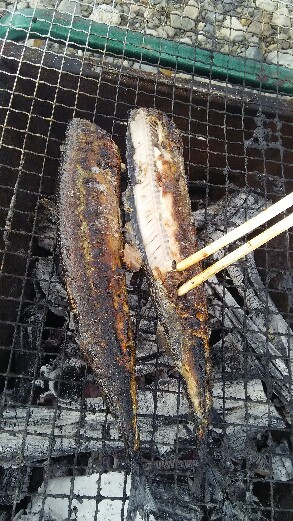 ツーリング、BBQ ツーリング、BBQ