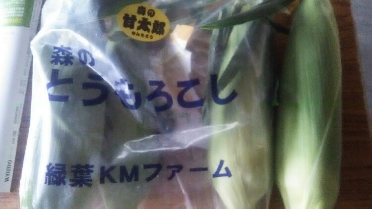 修理、、、、もろこし 修理、、、、もろこし