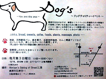 今日デス☆ドッグチャリティーイベントDogs