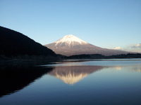 祝富士山世界文化遺産登録決定