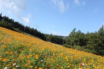 福島の旅　②