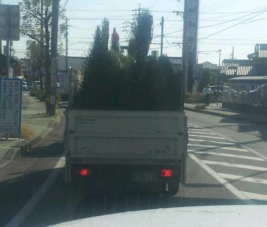 もう X´mas か・・・