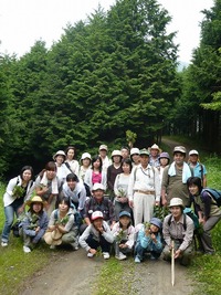 ■ 身近な山へハイキングに行こう!■ 大札山登山と自然観察 ■
