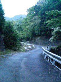 今日のウオーキングコースは!!