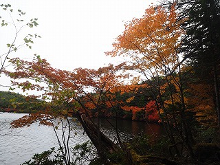 白駒池と高見石　紅葉を求めて