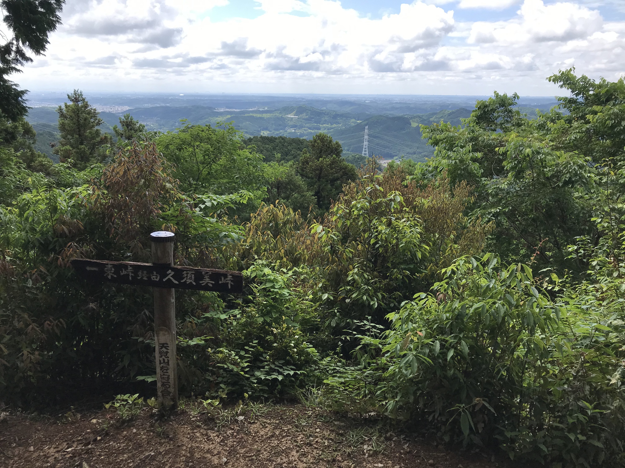 彩の国走ってきました。 彩の国走ってきました。