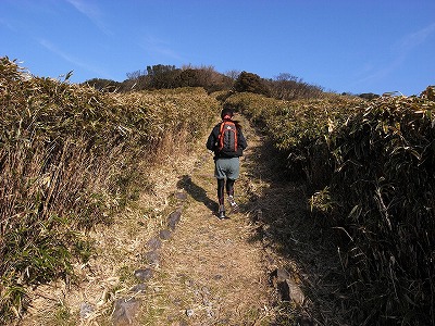 達磨山へハイキング