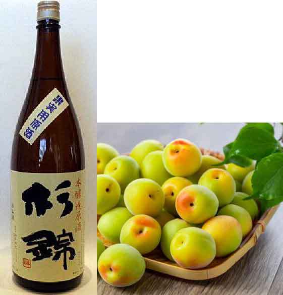 梅酒用の日本酒：本醸造 原酒